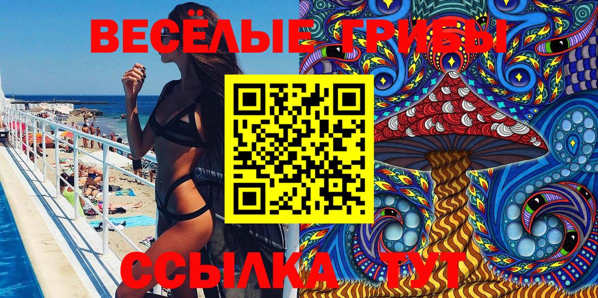 Нальчик  Галлюциногенные грибы Psilocybe  Вход с VPN 