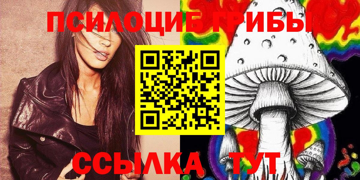 Псилоцибиновые грибы Psilocybe Нальчик